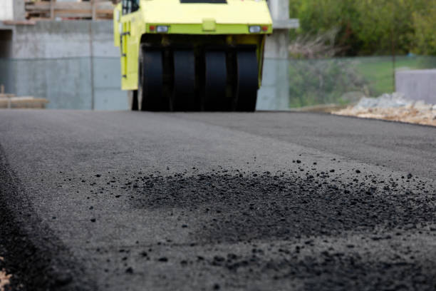 Best Custom Driveway Pavers  in Black River, NY